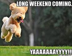 Image result for Returning From 4 Day Weekend Meme