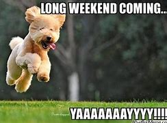 Image result for Have a Great Long Weekend Meme