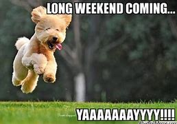 Image result for Back From Long Weekend Meme