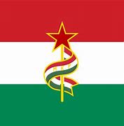 Image result for Communist Hungary Flag