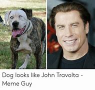 Image result for John Travolta Dog Meme