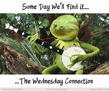 Image result for Kermit Wednesday Memes