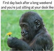 Image result for Monday Work Meme Coffee