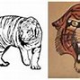 Image result for Tiger Drawing Base