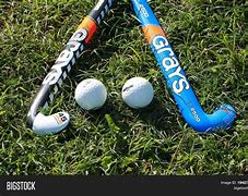 Image result for Ball Hockey Stick