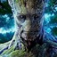 Image result for Funny Groot Pictures
