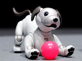 Image result for Aibo Bot