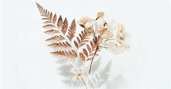 Image result for Photography Watermark Ideas