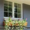 Image result for Window Boxes Drip Tray