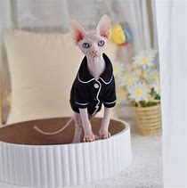 Image result for Cat Sweater Pajamas