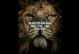 Image result for Black Panther Animal Quotes