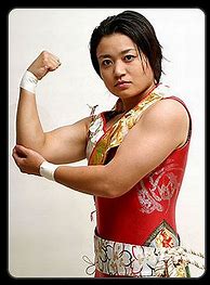 Image result for Japanese Professional Wrestling