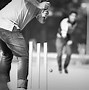 Image result for Cricket Collection Set