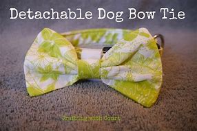 Image result for Pet Bow circa 1960