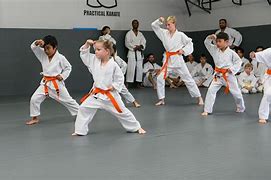 Image result for Ninja Karate