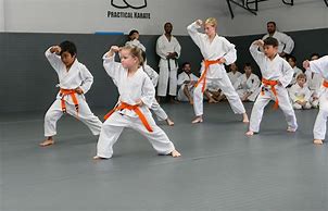 Image result for Karate