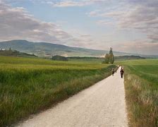 Image result for camino