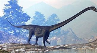 Image result for What Was the Largest Dinosaur
