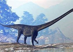 Image result for Biggest Dinosaur Alive