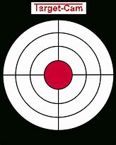 Image result for Practice Shooting Targets