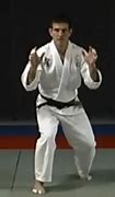 Image result for Judo Stance