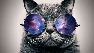 Image result for Galaxy Cat Wallpaper