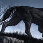 Image result for Hellhound Mythical Creature