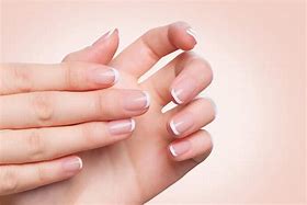 Image result for Ladies Hand