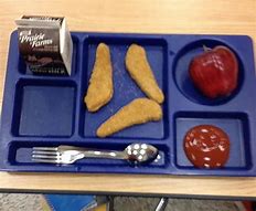 Image result for Terrible School Lunches