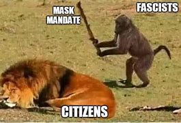 Image result for Mask Mandate Meme