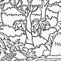 Image result for Jungle Flowers Coloring Pages
