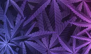 Image result for Purple Weed Wallpaper Desktop