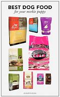 Image result for Puppy Food Brad's