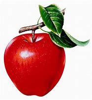 Image result for Red Apple Print