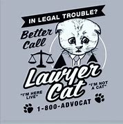 Image result for Lawyer Cat Meme