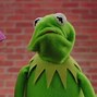 Image result for Kermit Scrunched Face