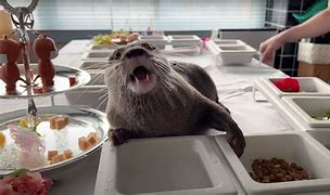 Image result for Otter Themed Party