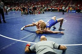 Image result for Iowa High School State Wrestling