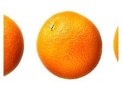 Image result for Orange Reference Photo