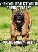 Image result for Medical Dog Meme