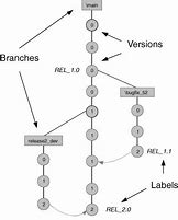 Image result for Image Lsvtree ClearCase