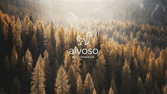 Image result for alvoso