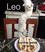 Image result for Fancy Leo Meme