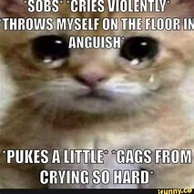 Image result for Funny Anguish