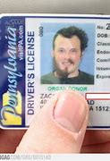 Image result for Funny Jokes Driver License