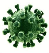 Image result for Stock Images Viruses