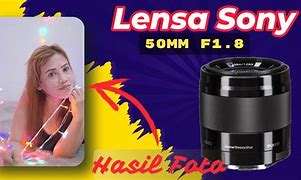 Image result for Lenza Sony Potrait