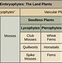 Image result for Basic Plant Life Cycle