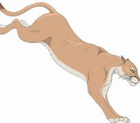 Image result for Mac OS Mountain Lion