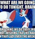 Image result for And the Brain Pinky Monday
